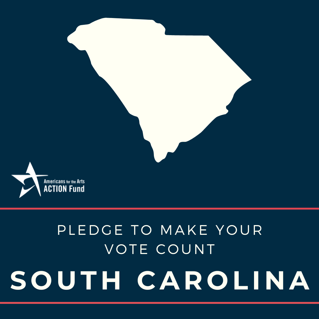 South Carolina Voter Graphic