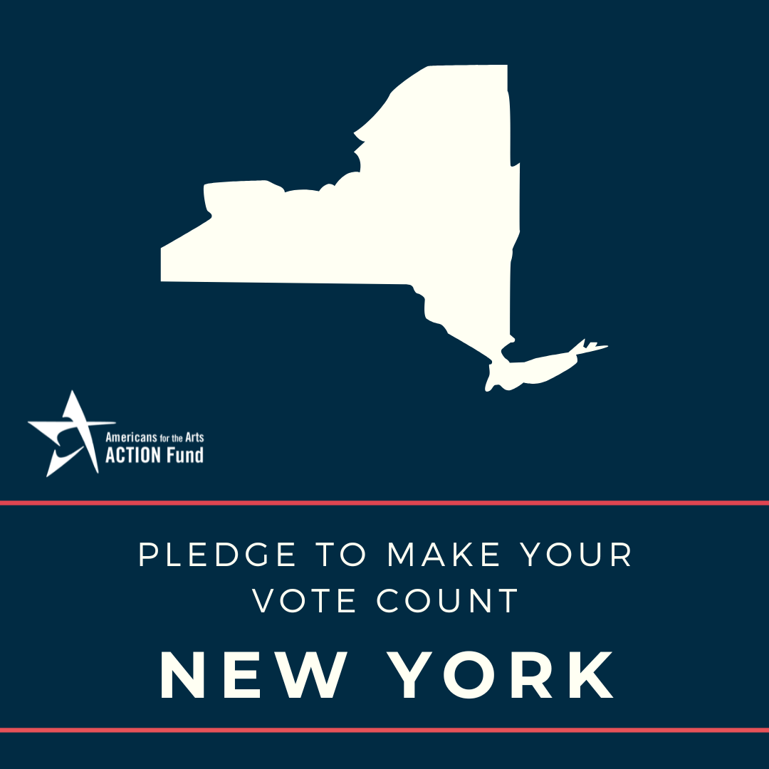 New York Voter Graphic