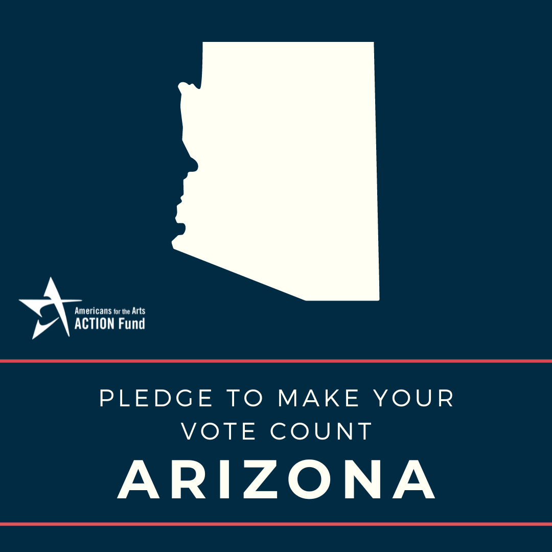 Arizona Voter Graphic